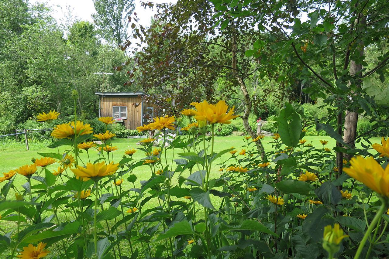 Firefly Bed & Breakfast Lincoln Exterior photo