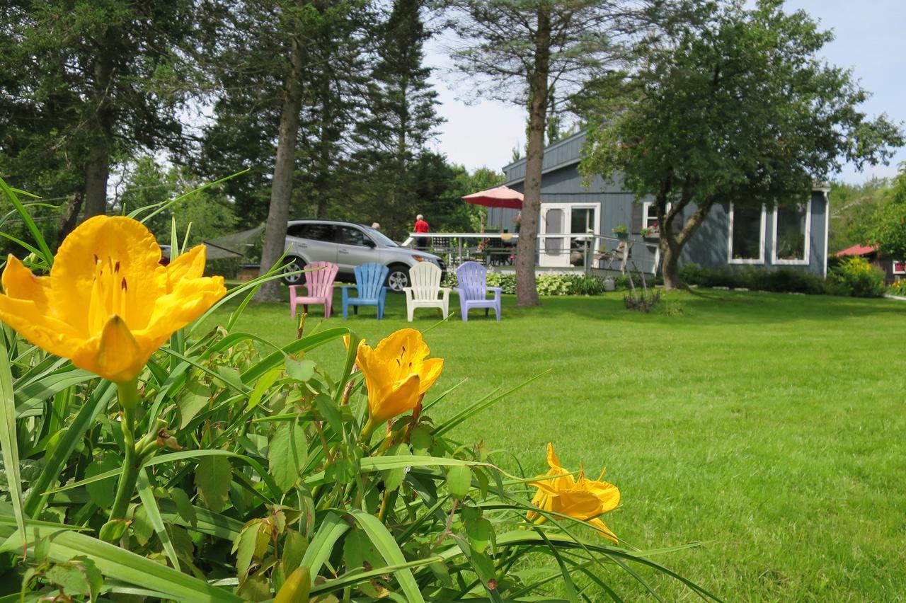 Firefly Bed & Breakfast Lincoln Exterior photo